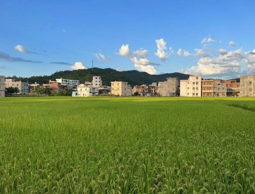 意甲直播_意甲横竖屏自由切换高清直播_意甲直播省流加速 意甲直播_意甲横竖屏自由切换高清直播_意甲直播省流加速